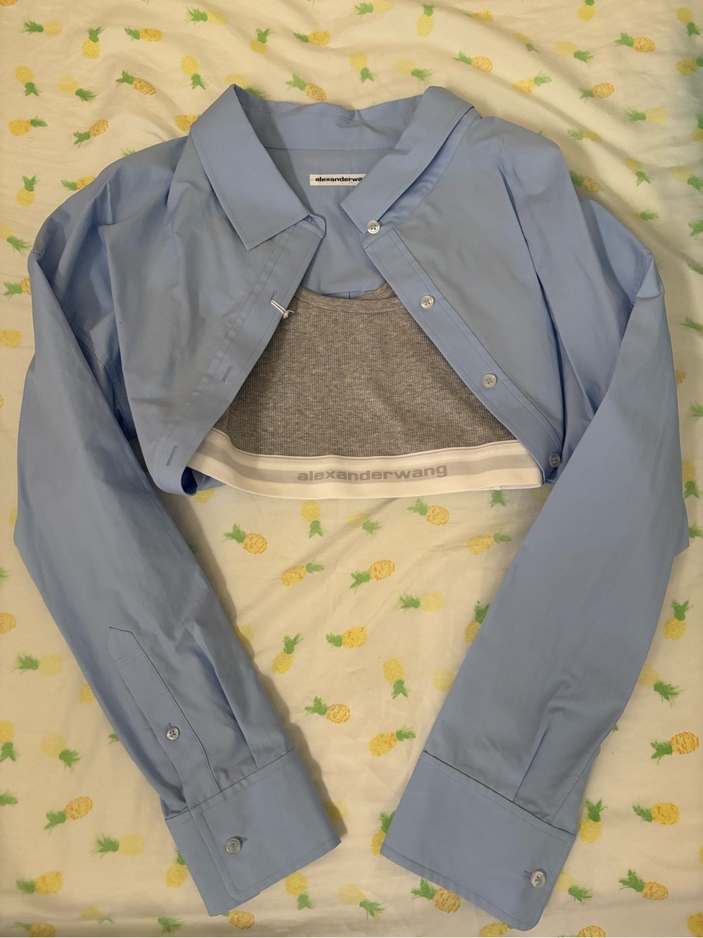 Alexander wang crop top